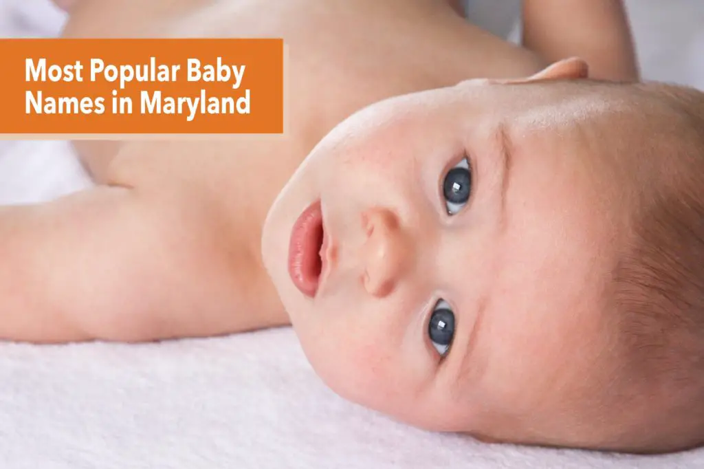 200-most-popular-names-in-maryland-very-many-names