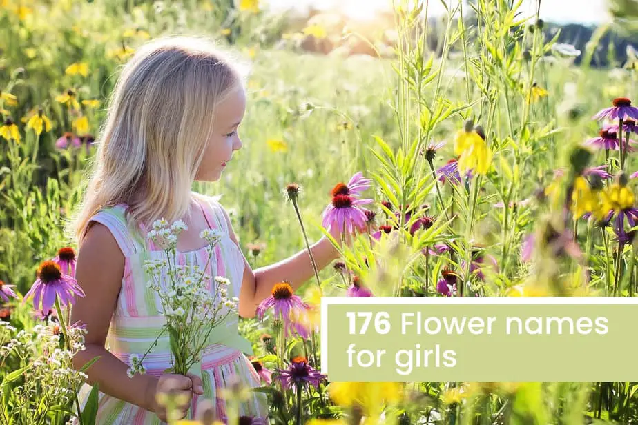 flower-names-for-girls-176-names-with-a-meaning-very-many-names