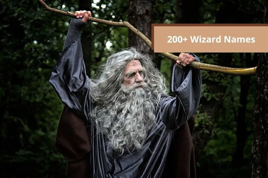 Wizard Names 200 Famous Wizard Names Very Many Names